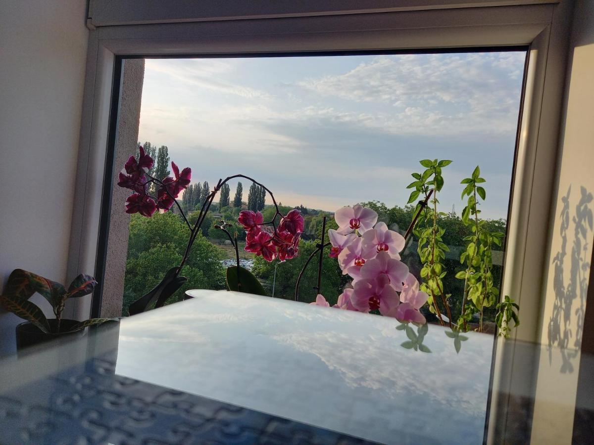Lavanda Apartment Nagyvárad Kültér fotó